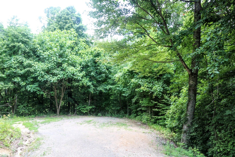 Photo #9: Tbd Tamarack Court