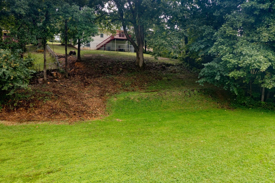 Photo #49: 2906 Vicksburg Road