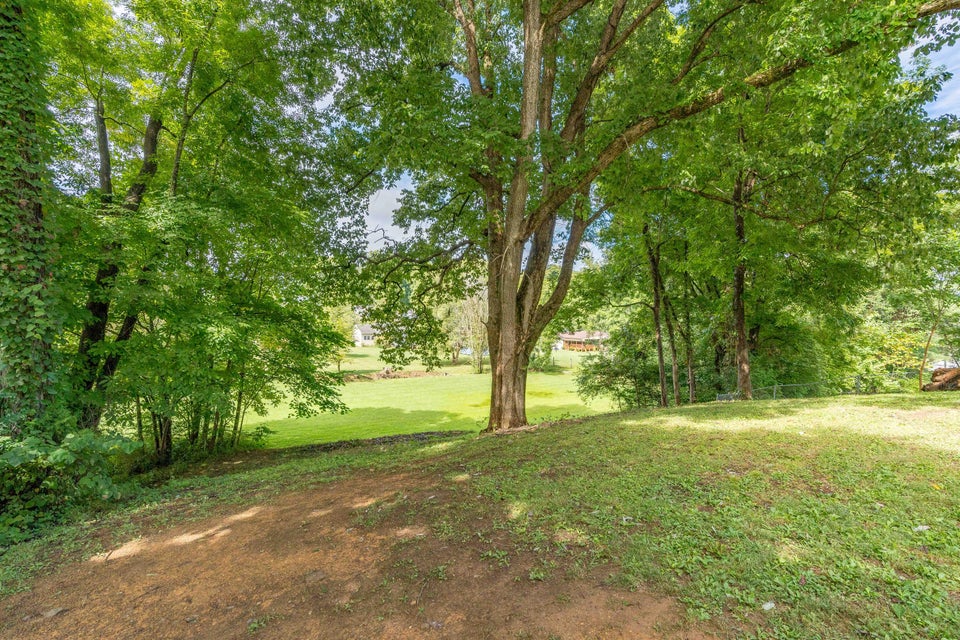 Photo #50: 2906 Vicksburg Road