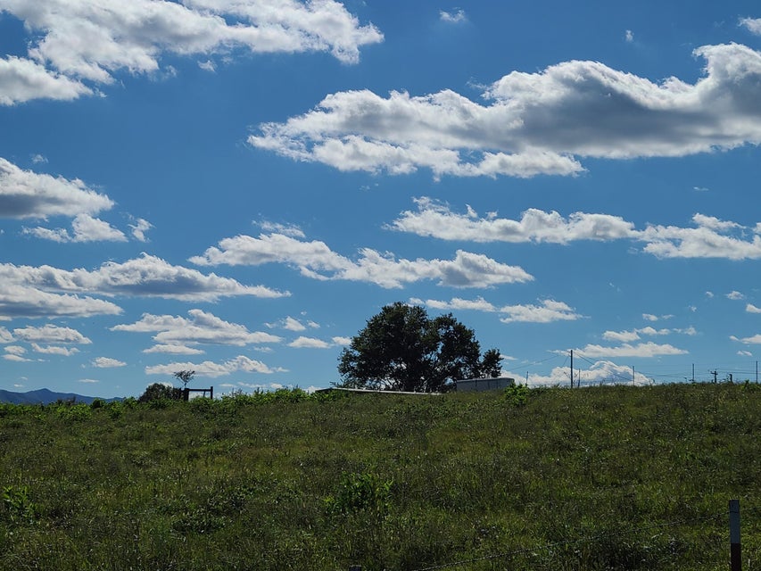 Photo #6: 1200 Taylor Bridge Road