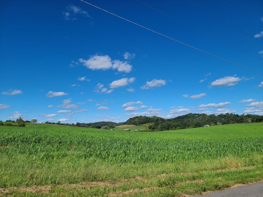 Photo #8: 1200 Taylor Bridge Road