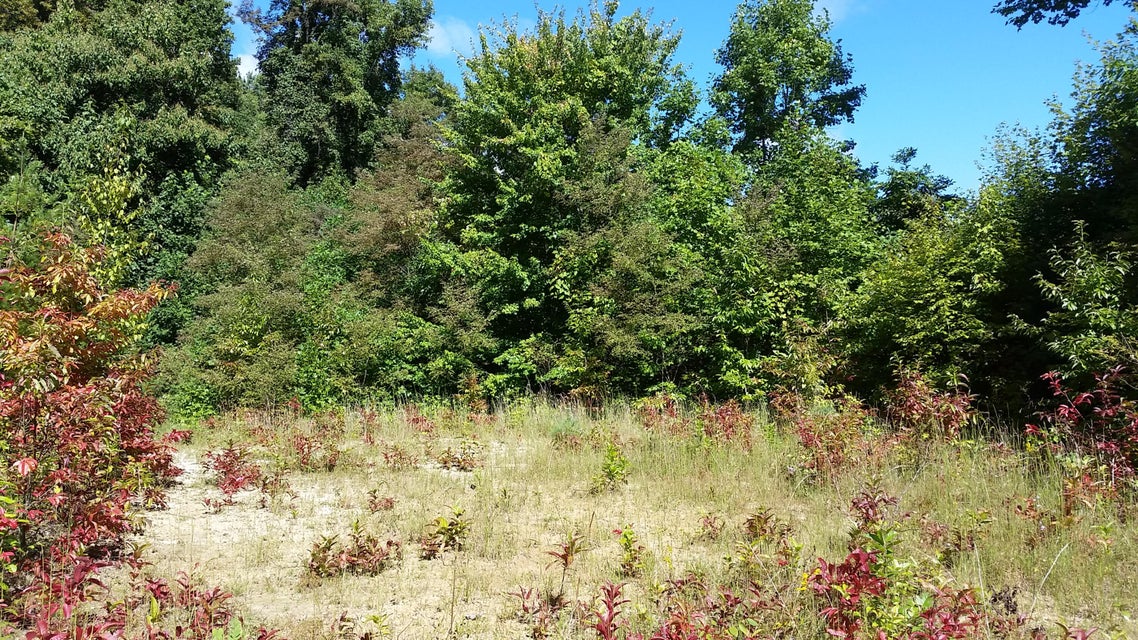 Photo #9: 305 Honeymoon Hollow