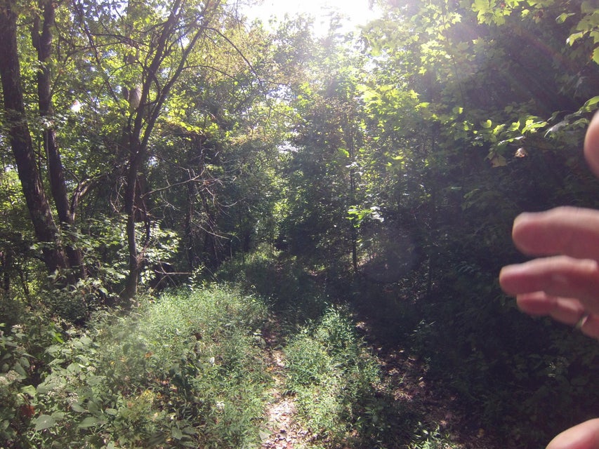 Photo #20: 305 Honeymoon Hollow