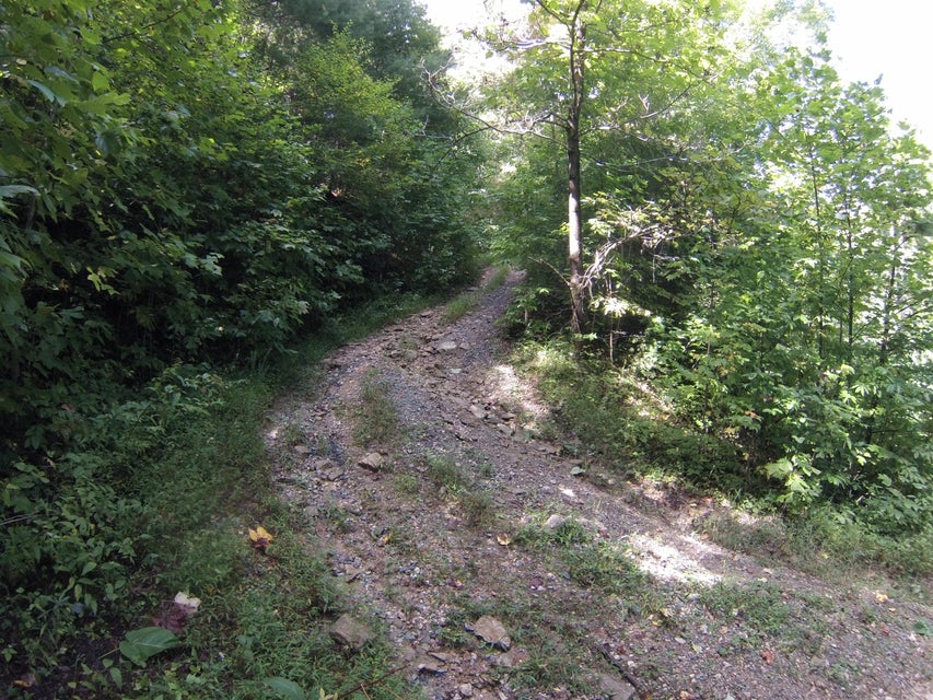 Photo #25: 305 Honeymoon Hollow