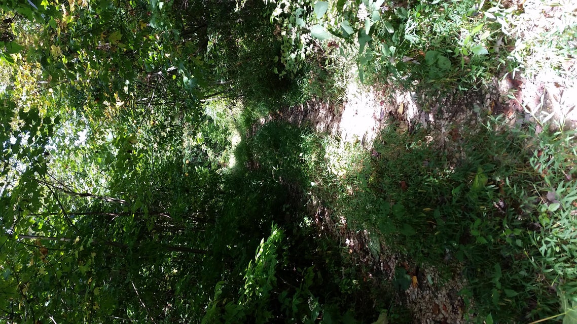 Photo #25: 307 Honeymoon Hollow