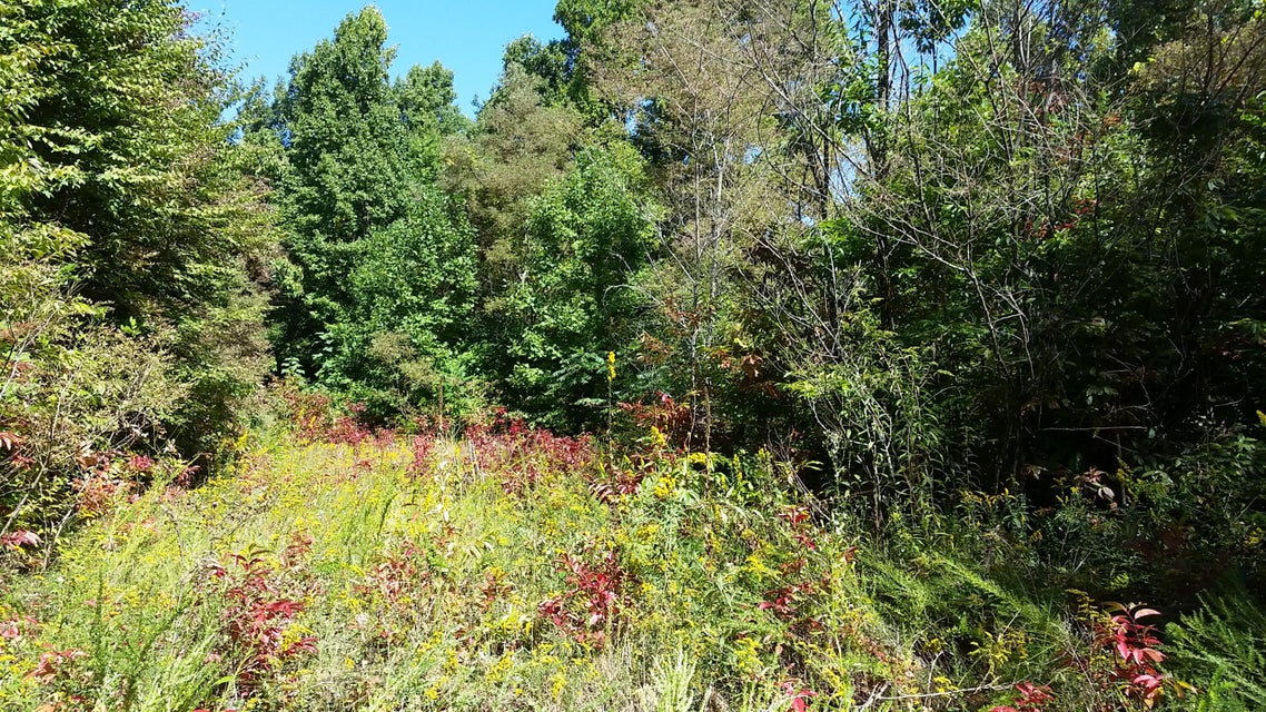 Photo #28: 307 Honeymoon Hollow