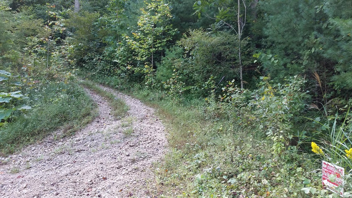 Photo #18: 307 Honeymoon Hollow