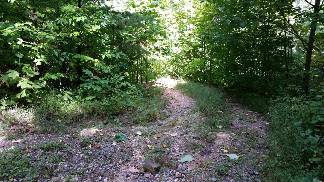 Photo #19: 307 Honeymoon Hollow