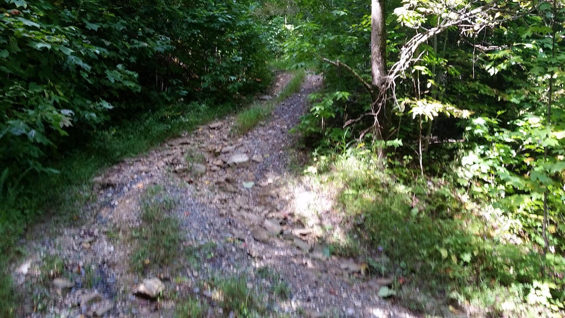 Photo #20: 307 Honeymoon Hollow