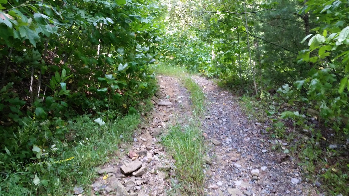 Photo #21: 307 Honeymoon Hollow