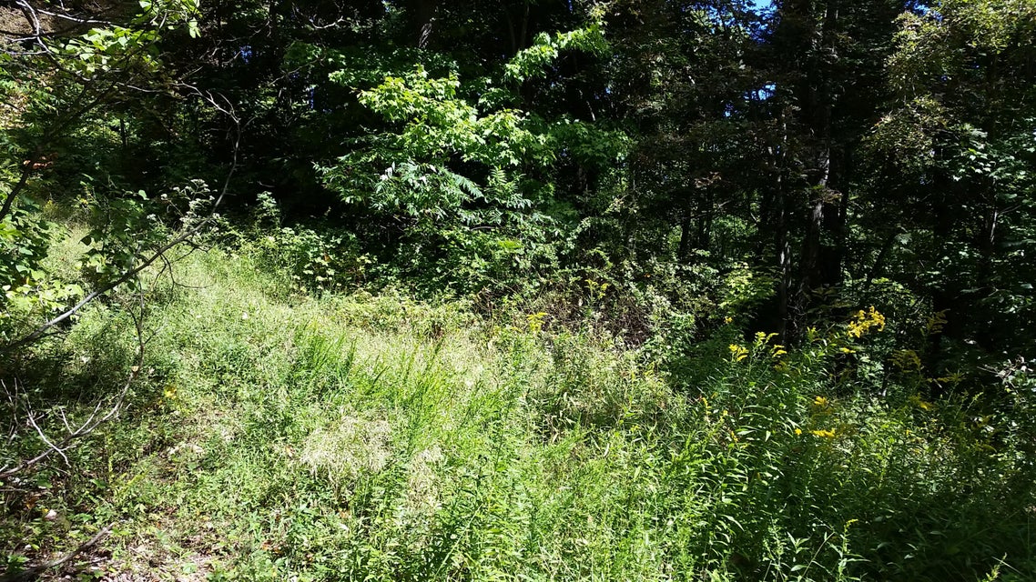 Photo #26: 307 Honeymoon Hollow