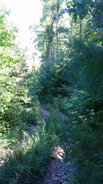 Photo #22: 307 Honeymoon Hollow