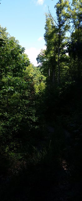 Photo #23: 307 Honeymoon Hollow
