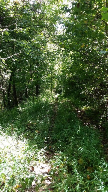 Photo #24: 307 Honeymoon Hollow