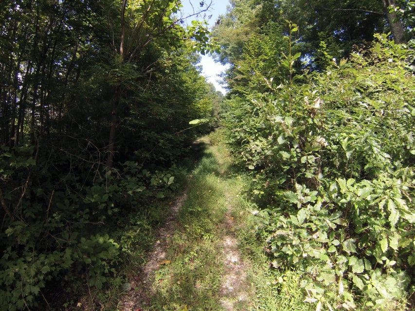 Photo #32: 307 Honeymoon Hollow