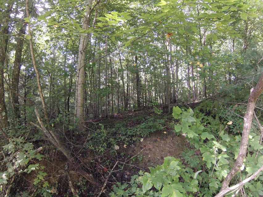Photo #33: 307 Honeymoon Hollow