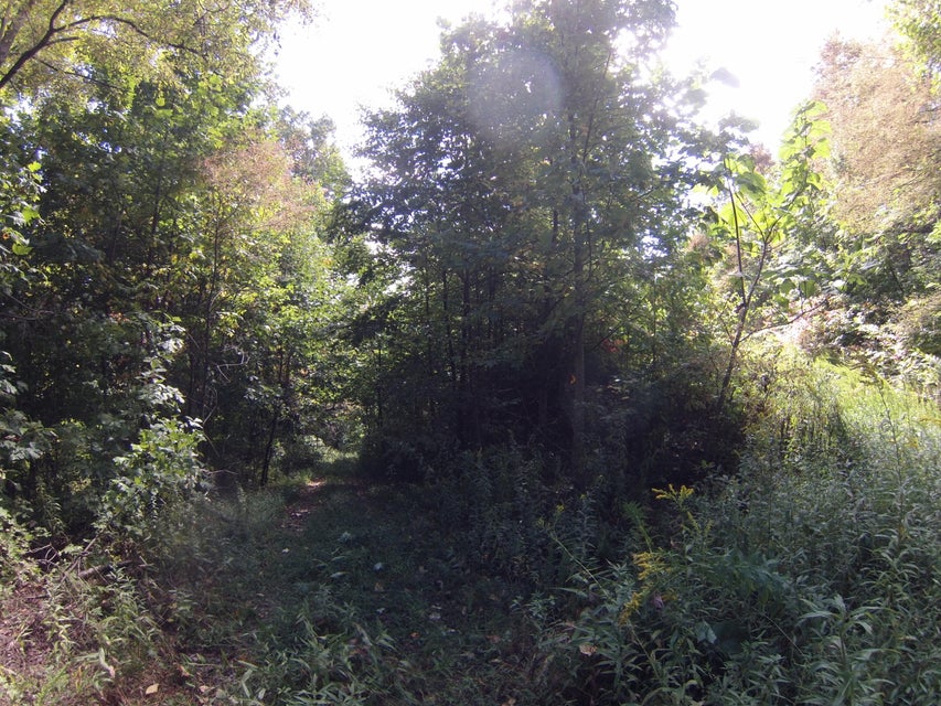 Photo #35: 307 Honeymoon Hollow