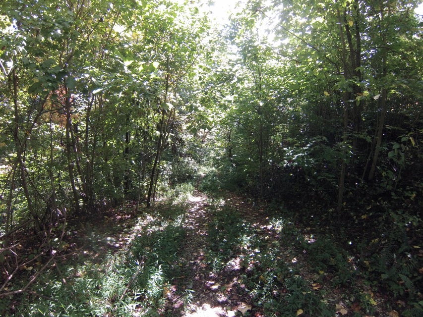 Photo #36: 307 Honeymoon Hollow