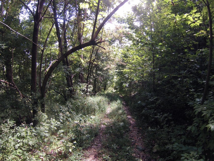 Photo #37: 307 Honeymoon Hollow