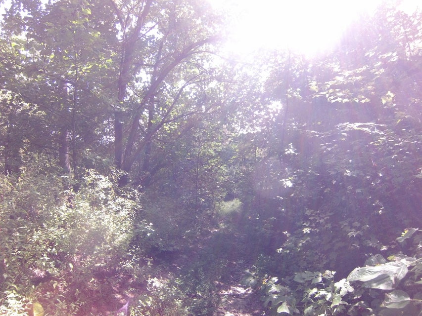 Photo #40: 307 Honeymoon Hollow