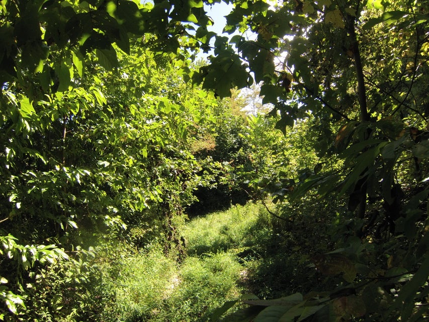 Photo #41: 307 Honeymoon Hollow