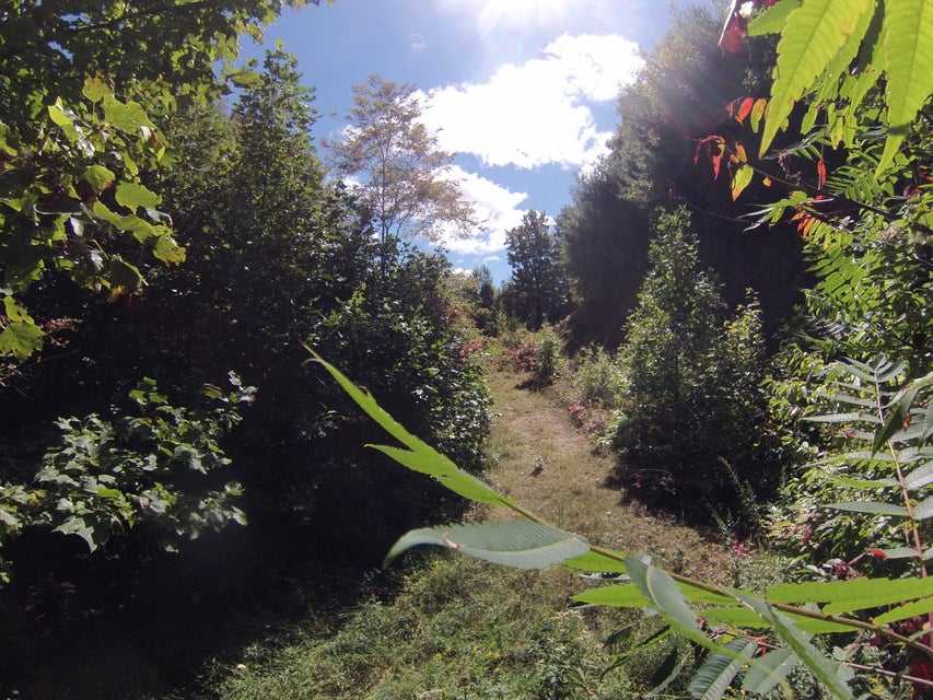 Photo #42: 307 Honeymoon Hollow