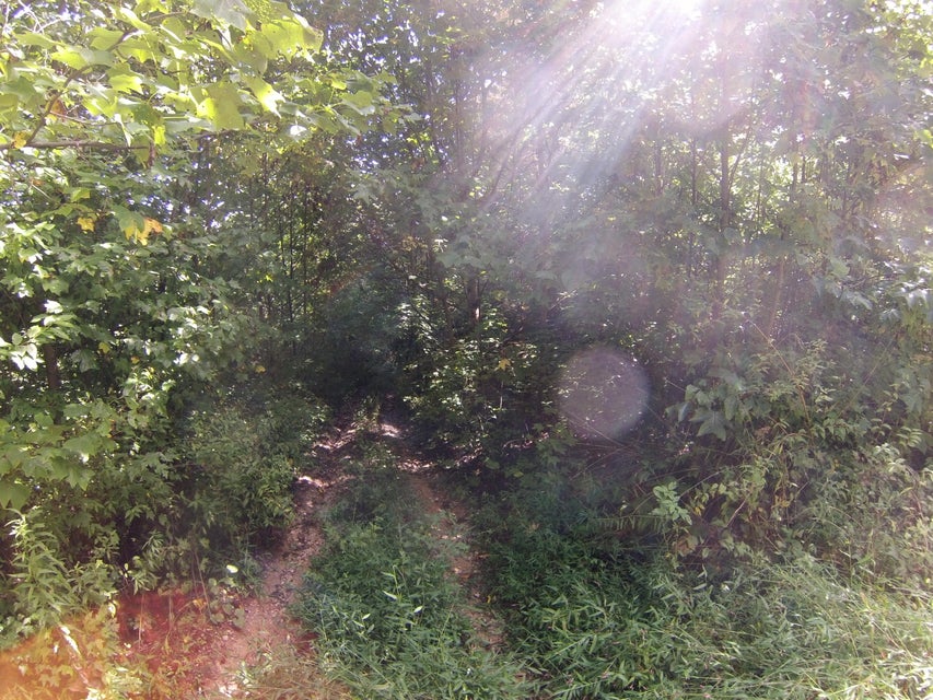 Photo #43: 307 Honeymoon Hollow