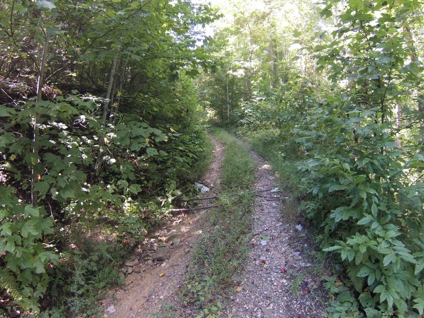 Photo #45: 307 Honeymoon Hollow