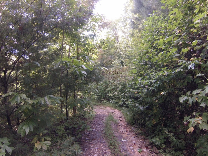 Photo #46: 307 Honeymoon Hollow