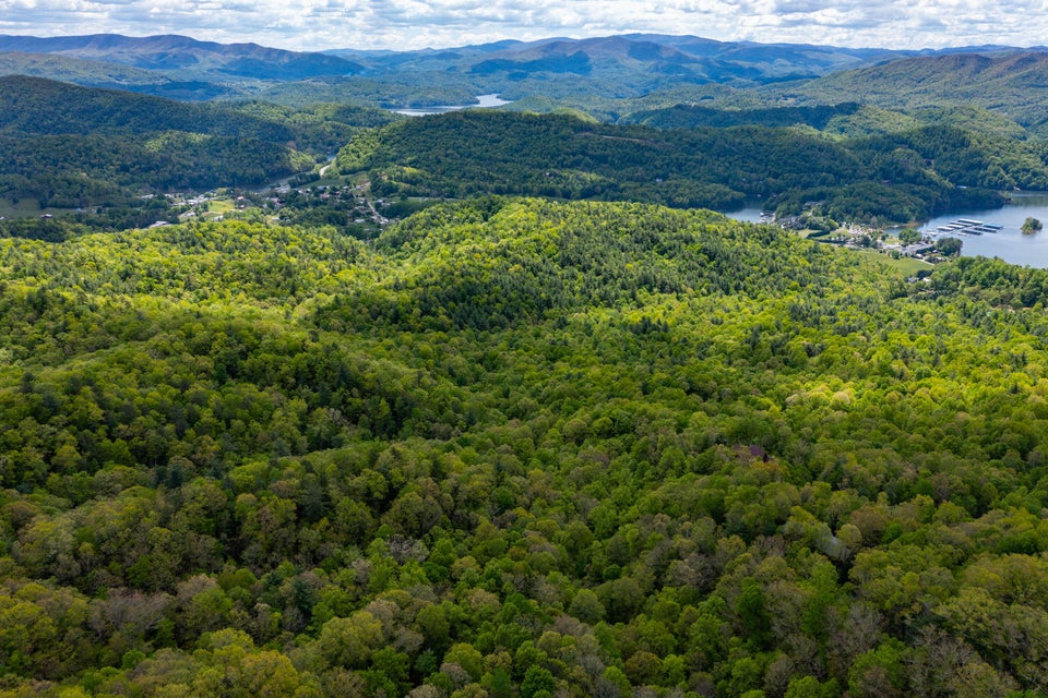 Photo #4: 9 Norris Road