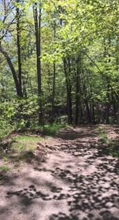 Photo #6: 9 Norris Road