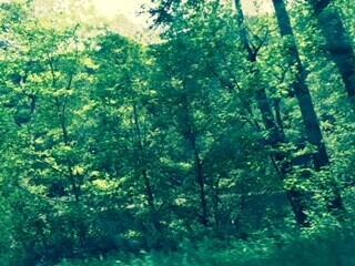 Photo #7: 9 Norris Road