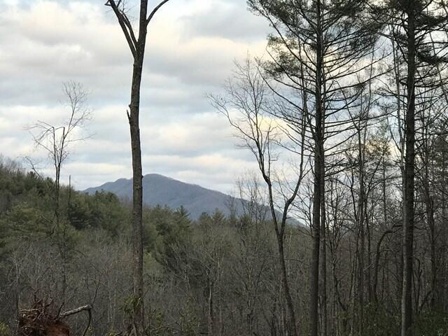 Photo #10: 9 Norris Road