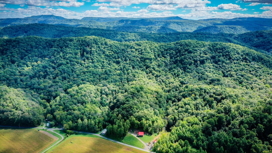 Photo #3: 928 Millers Bluff Road