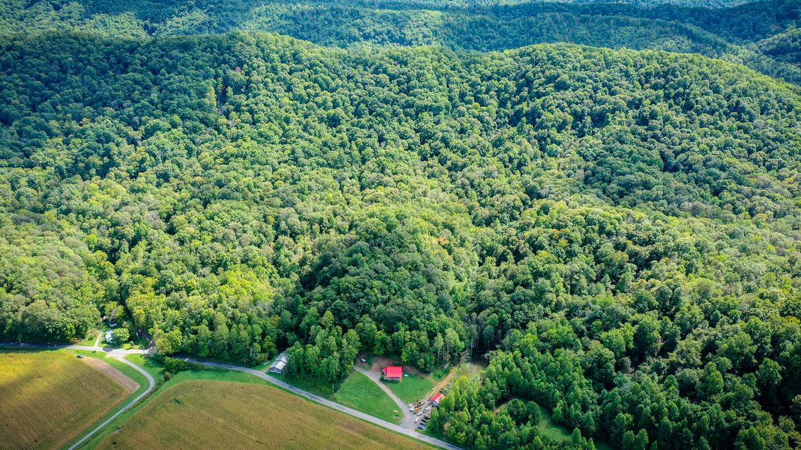 Photo #4: 928 Millers Bluff Road