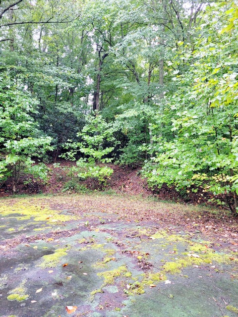 Photo #6: Tbd Paramont Road