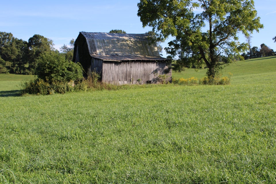 Photo #2: Tbd Mount Calm Drive