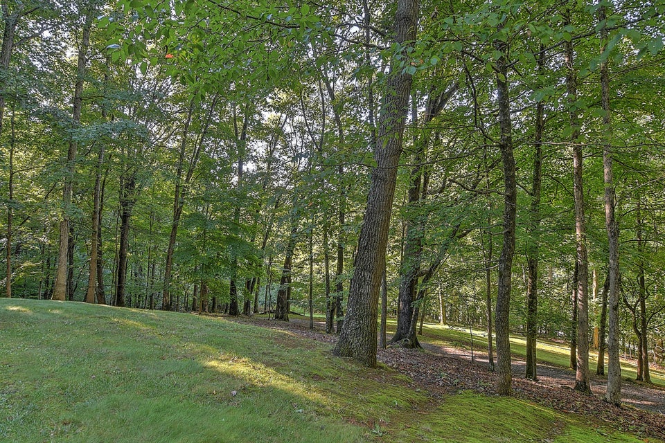 Photo #27: 220 Old Orchard Road Road