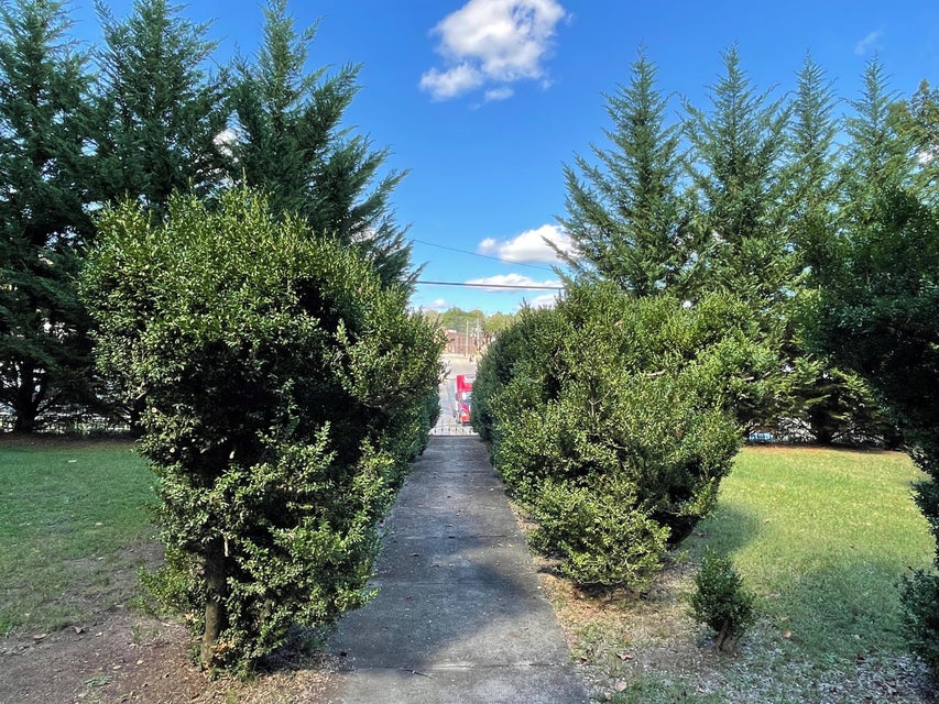 Photo #3: 403 Maple Avenue