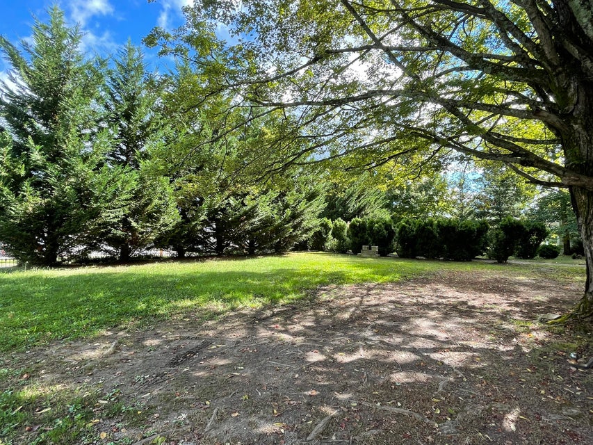 Photo #47: 403 Maple Avenue