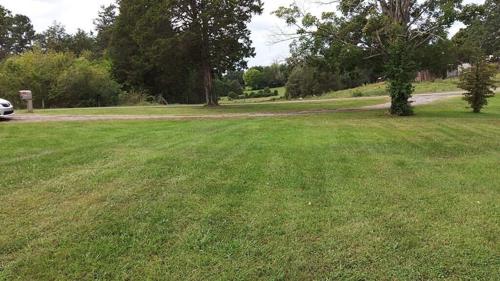 Photo #6: 910 Bill Welch Lane