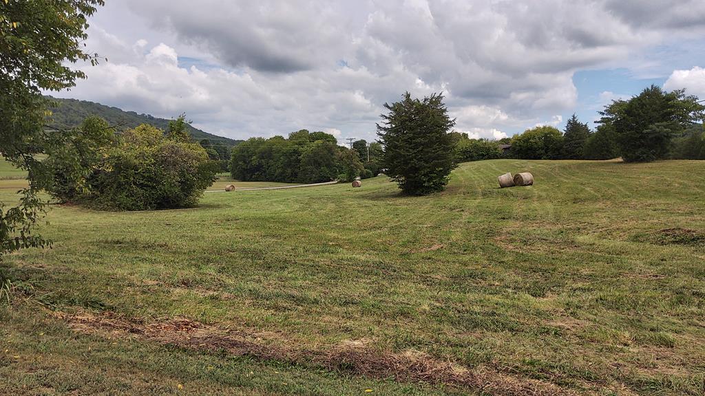 Photo #11: 910 Bill Welch Lane