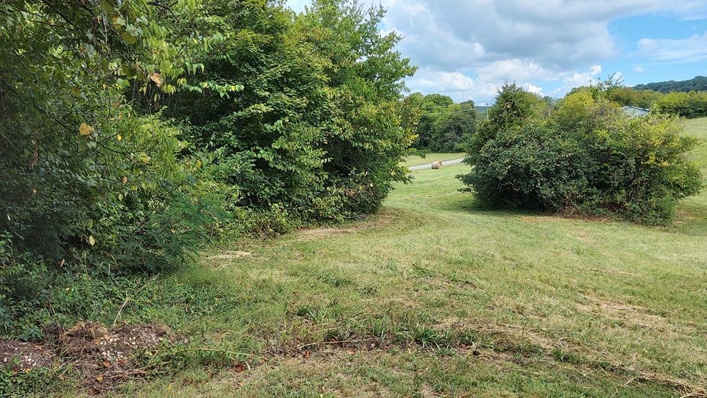 Photo #13: 910 Bill Welch Lane