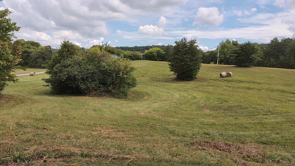 Photo #14: 910 Bill Welch Lane