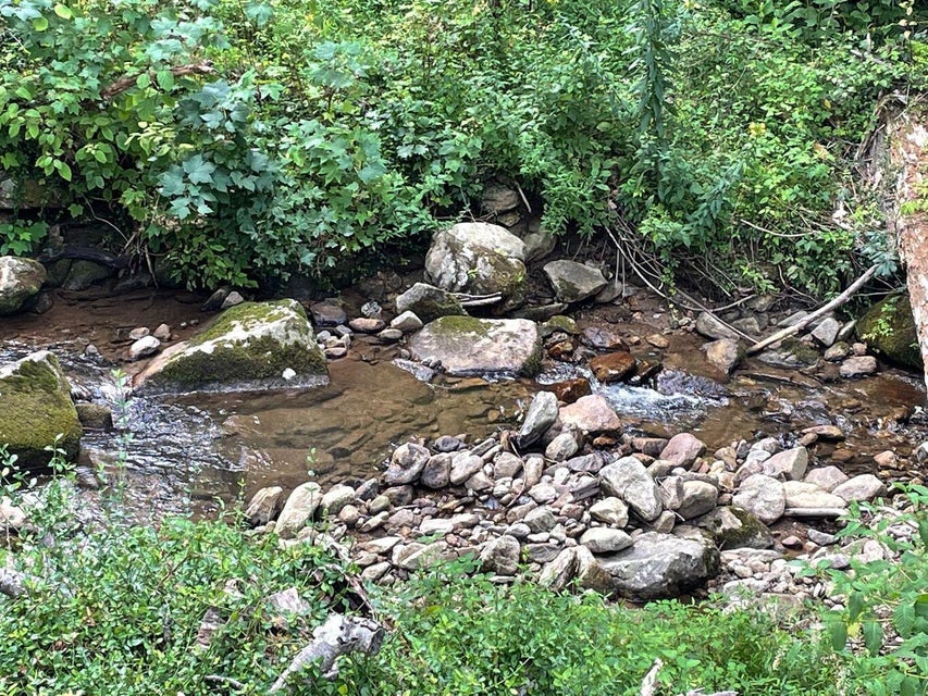 Photo #24: 128 Lum Mcintosh Road