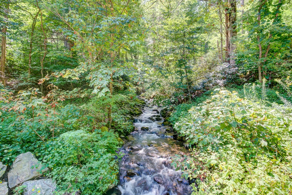 Photo #42: 165 Big Cove Creek Road