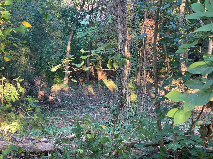 Photo #6: 0 Viking Circle