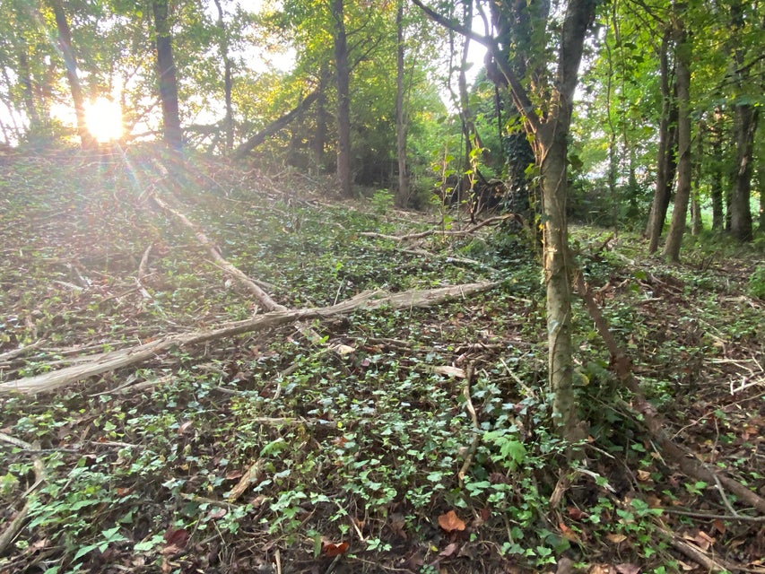 Photo #15: 0 Viking Circle