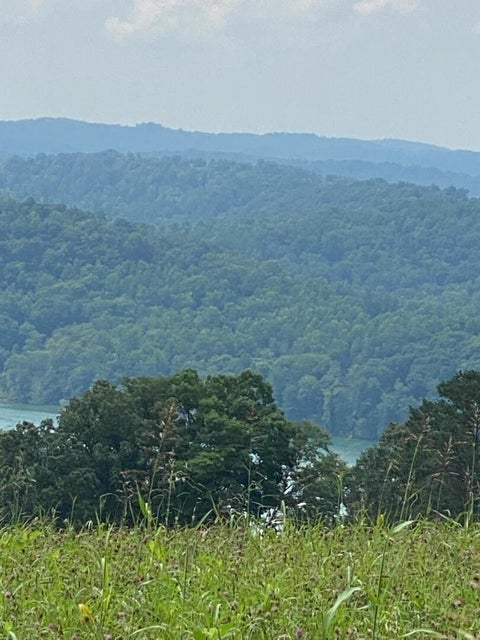 Photo #3: 1476 Flat Hollow Road