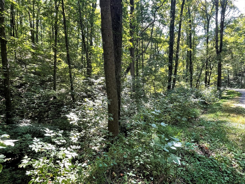 Photo #3: Tract Abc Dyer Hollow Road